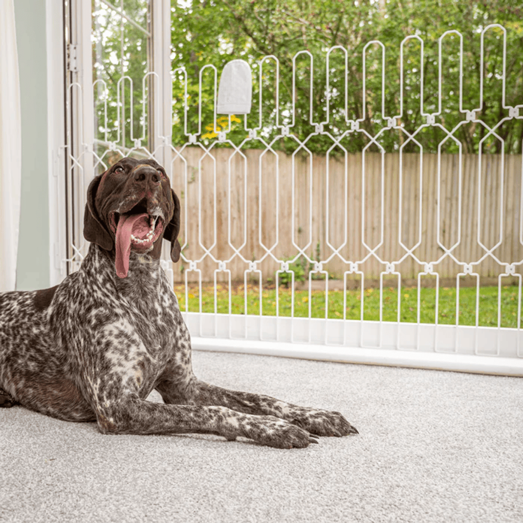 Pet Safety Gate Plus – Extra Strong, No-Drill Pet Gate for Stairways, Doorways & Hallways | Easy One-Hand Use, No Wall Damage