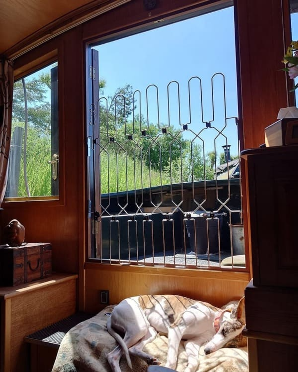 Pet Safety Gate Plus – Extra Strong, No-Drill Pet Gate for Stairways, Doorways & Hallways | Easy One-Hand Use, No Wall Damage