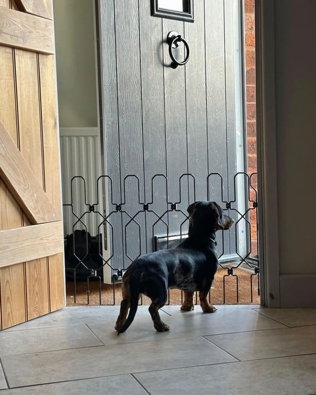 Pet Safety Gate Plus – Extra Strong, No-Drill Pet Gate for Stairways, Doorways & Hallways | Easy One-Hand Use, No Wall Damage