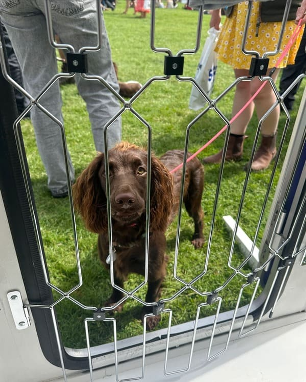 Pet Safety Gate Plus – Extra Strong, No-Drill Pet Gate for Stairways, Doorways & Hallways | Easy One-Hand Use, No Wall Damage